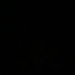 Meet your Posher, Deanna